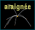 Araigne