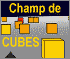 Champ de Cubes